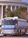 Rover at Jefferson Memorial